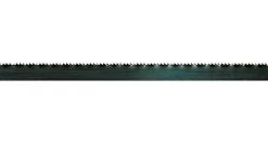 Scheppach 73220703 Lame de scie à ruban adaptable sur BASA1 - 24TPI