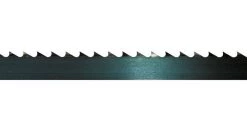 Scheppach 73220701 Lame de scie à ruban adaptable sur BASA1 - 4TPI